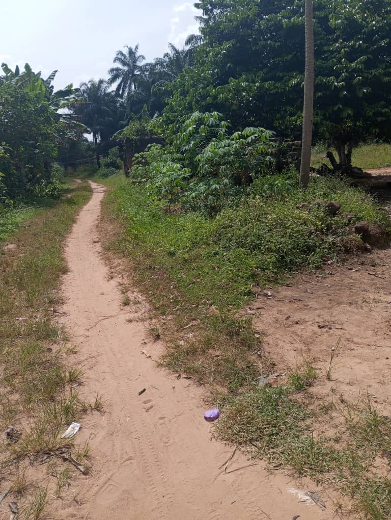 The start of the five-mile-long path to the stream where villagers in Nkerefi collect water.