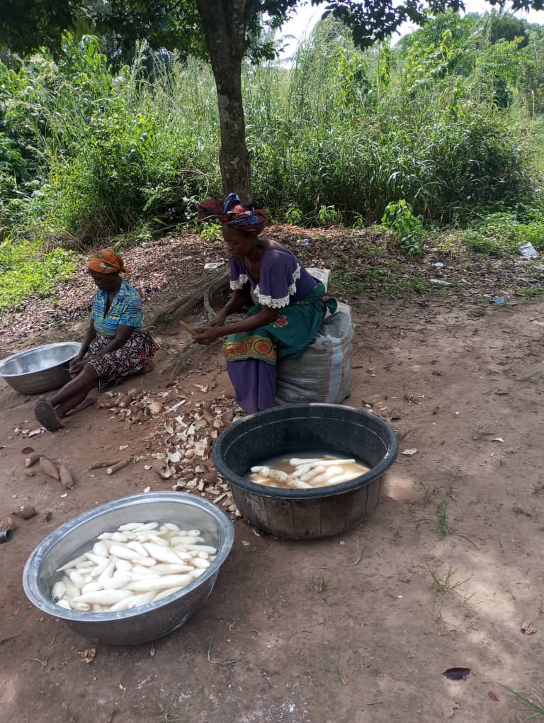 Women peel, wash, and prepare yams for a meal.